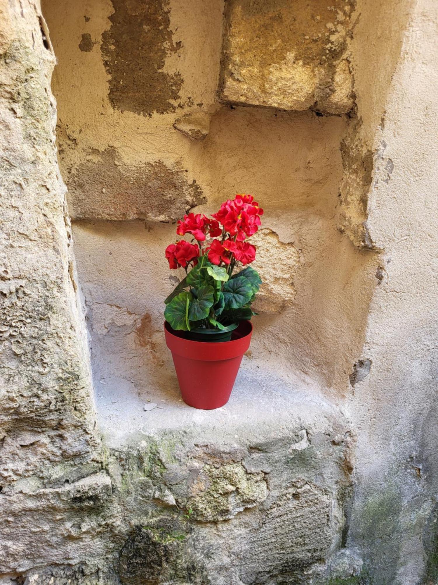 Studio/2 Pieces, Terrasse Avignon Kültér fotó